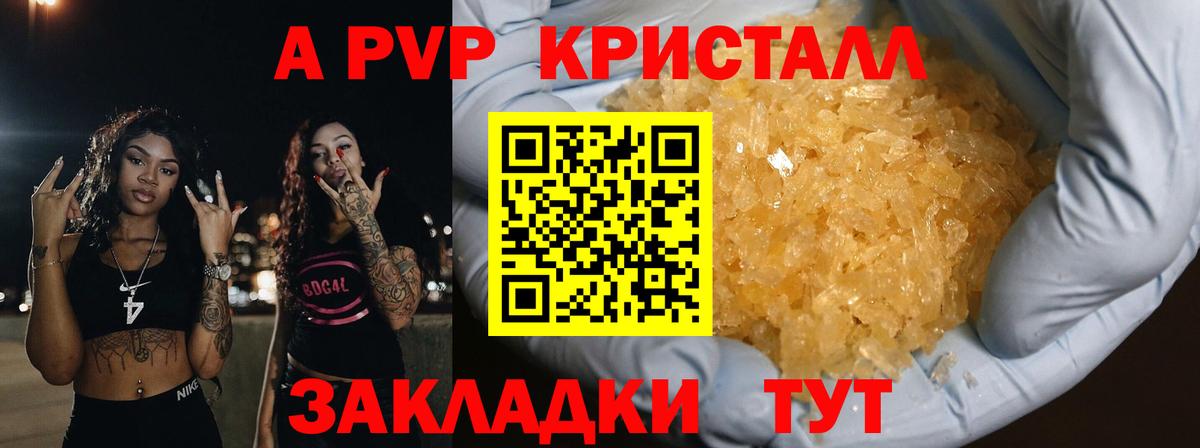 А ПВП крисы CK Нальчик