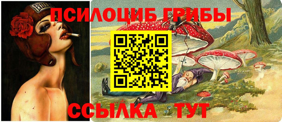 Галлюциногенные грибы Magic Shrooms  Вход с VPN  Нальчик 